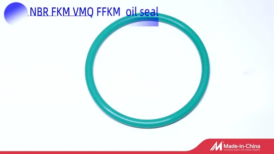 Molded Products and Parts FKM Silicone Rubber Part NBR Rubber High Quality Customize Silicone Black Moulding Nonstandard